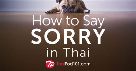 sorry in thai|saying sorry in thai.